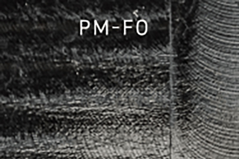 PM-F0