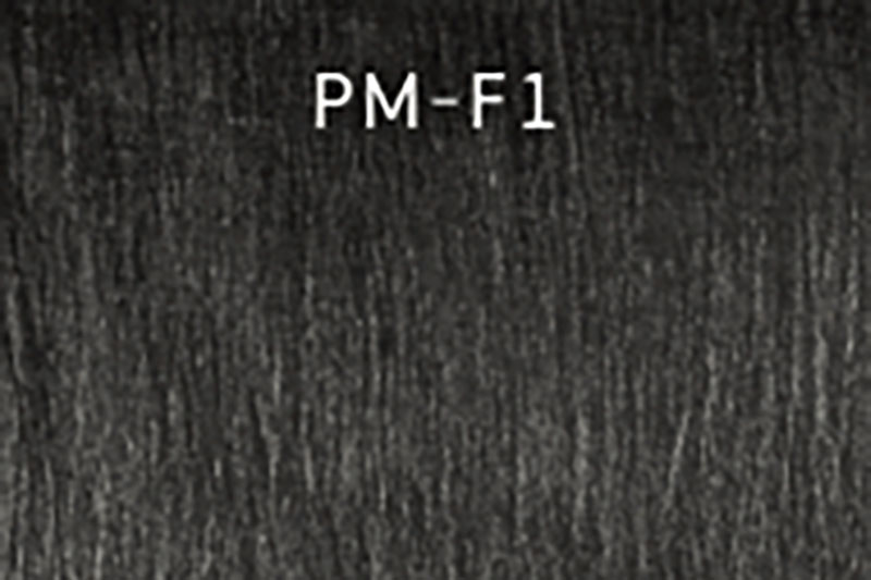 PM-F1