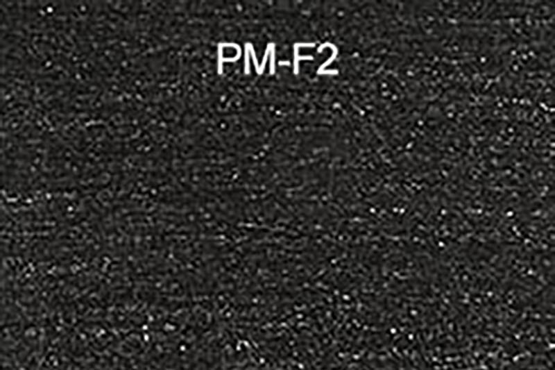 PM-F2