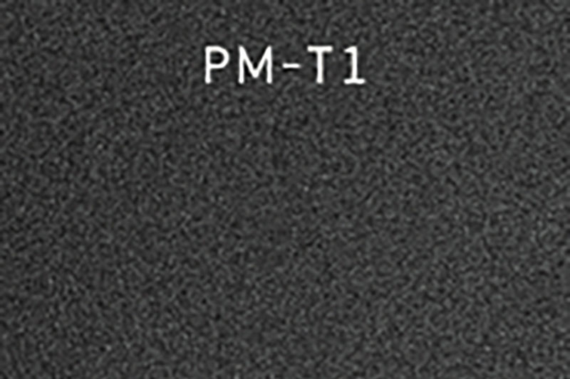 PM-T1