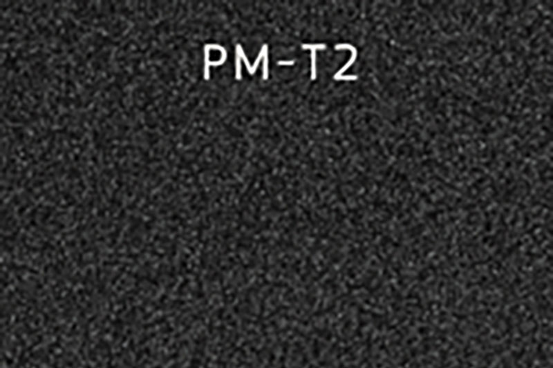 PM-T2