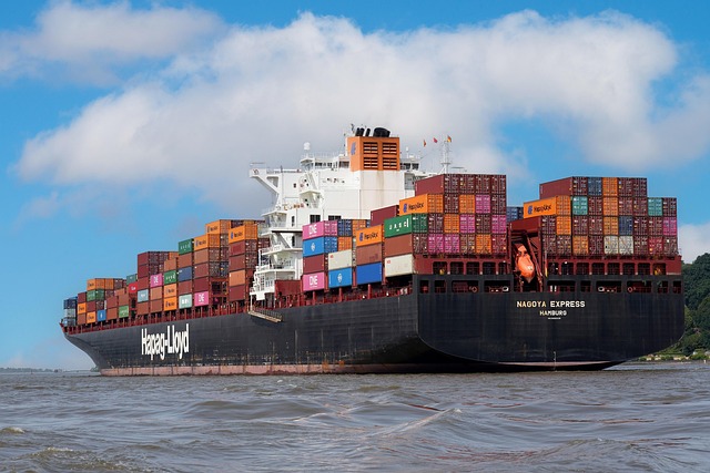 Environmental Economic
